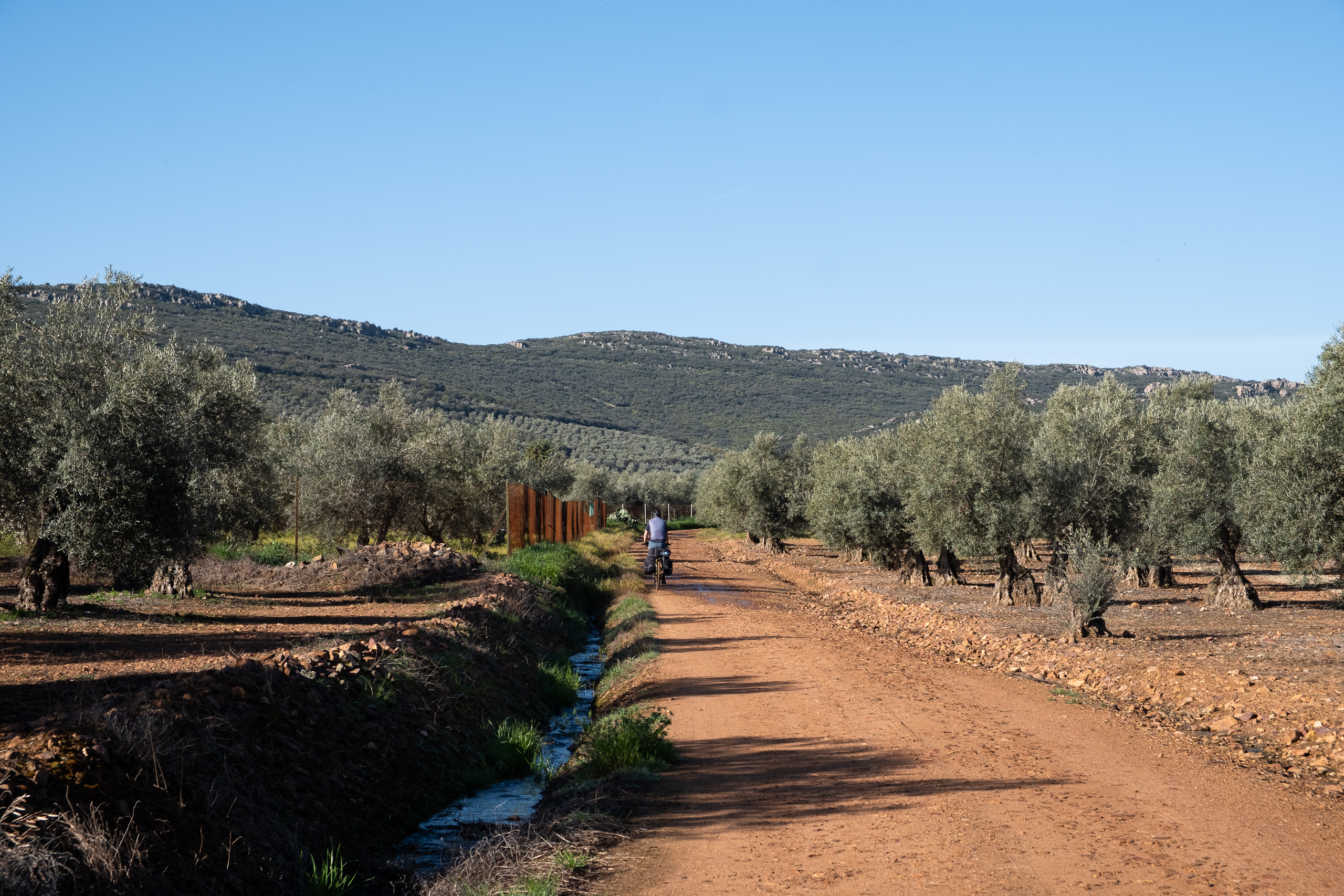 Roter Feldweg mit Bewässerungskanal – durch Olivenhaine bei Almodóvar